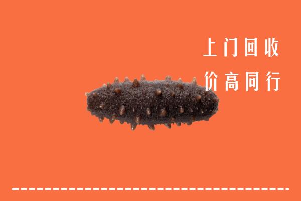 高价求购：五峰县回收海参